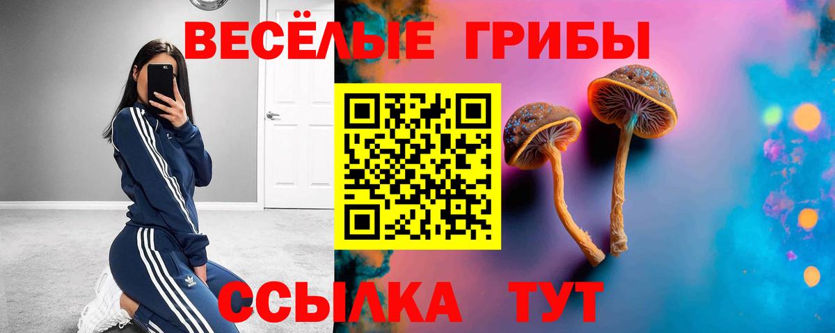 Ейск  Псилоцибиновые грибы MAGIC MUSHROOMS  Вход с VPN 